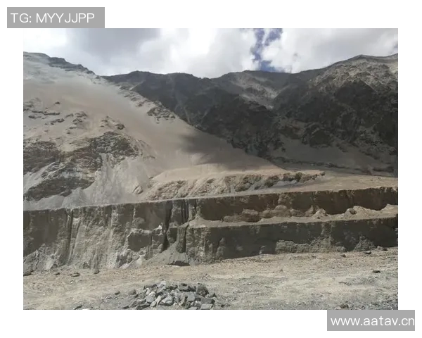 深度对话：探索王敏在和平精英中的成长与挑战之路