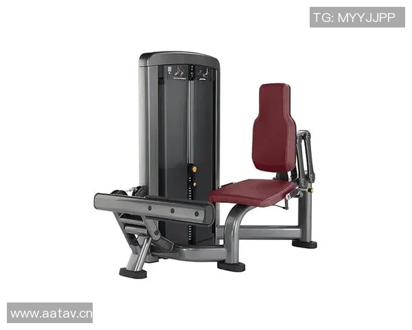 美国力健健身器材价格:如何挑选性价比高的设备 美国力健健身器材价格:如何挑选性价比高的设备