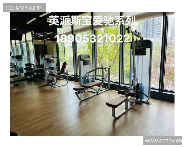 英派斯健身器材产品系列与市场评价 英派斯健身器材产品系列与市场评价